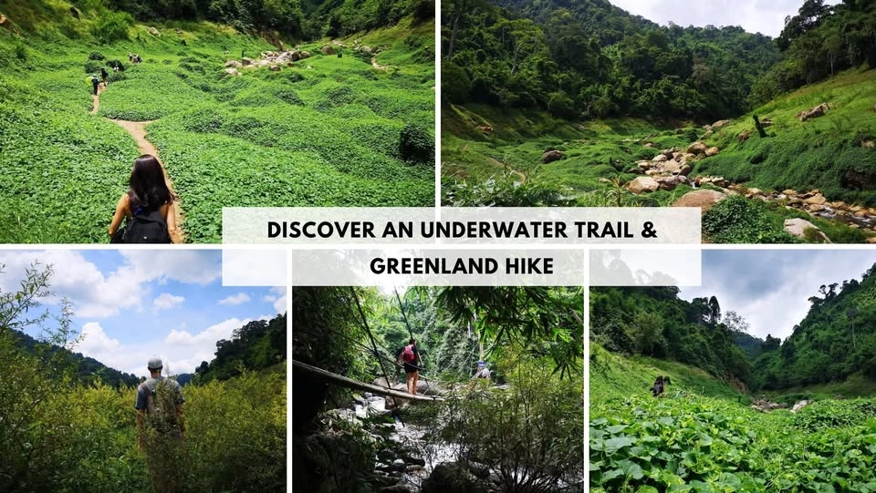 Discover an underwater trail & Greenland Hike