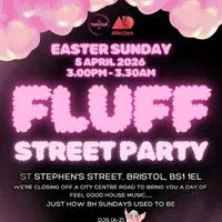 FLUFF Street Party