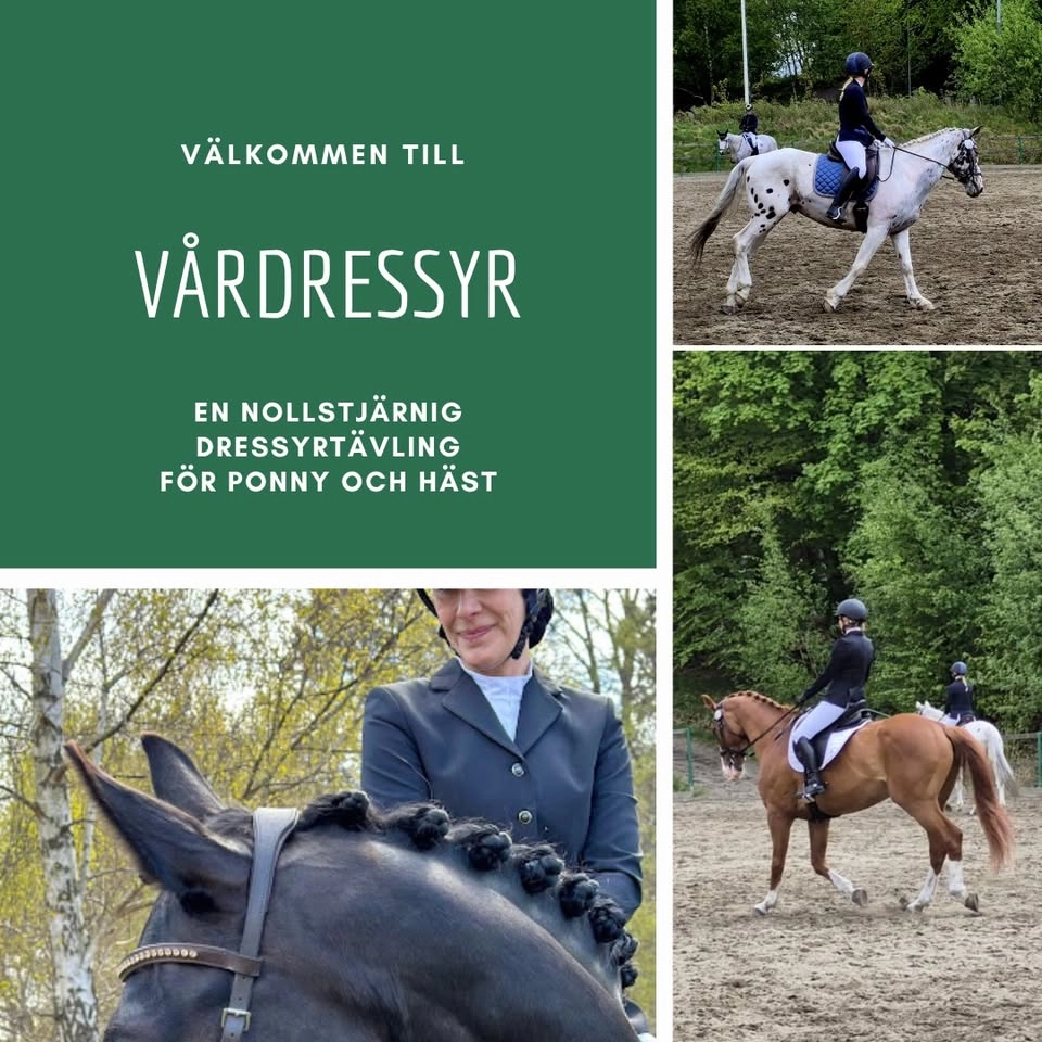 Vårdressyr - 0*ig dressyrtävling för ponny och häst
