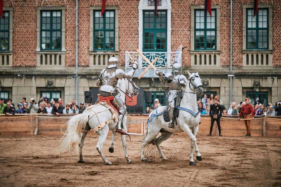 Danehof 2026 i Nyborg ⚔️🛡️