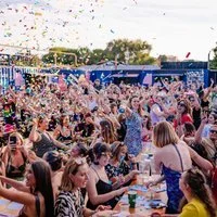 Bingo Lingo - The Outdoor Summer Specials