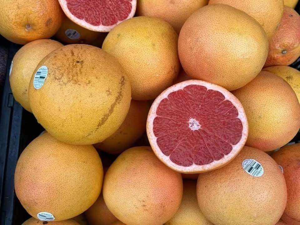 (Hornsby) Hornsby Food Markets (please confirm event online)