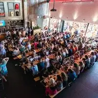 BINGO LINGO - THE Summer Special