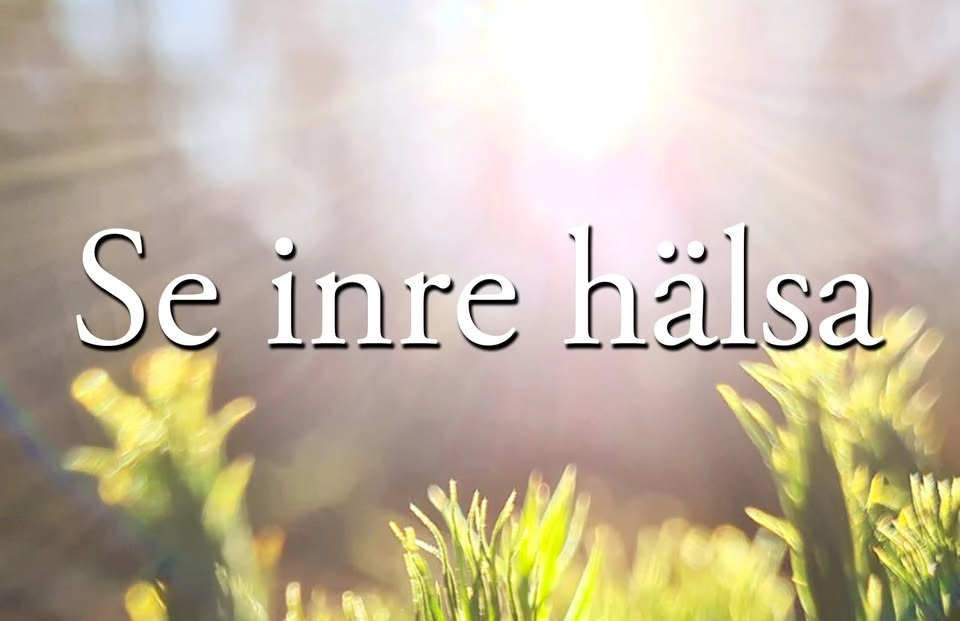 alternativ mässan Heden i Göteborg