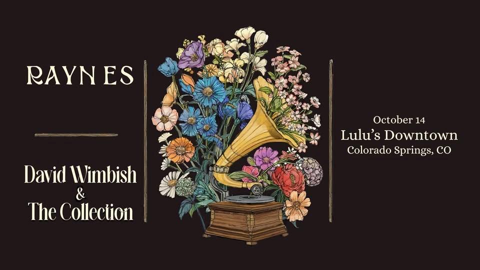 Raynes and David Wimbish & The Collection Live at Lulu's Downtown