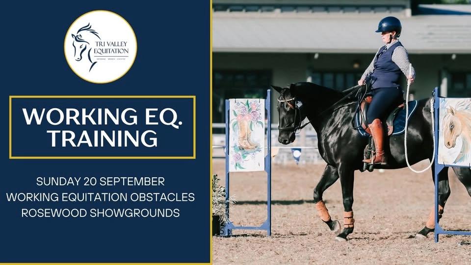 TVE WORKING EQUITATION TRAINING