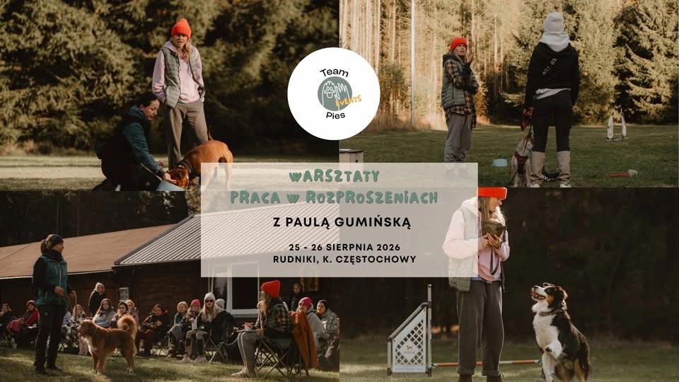 PRACA W ROZPROSZENIACH Z PAULĄ GUMIŃSKĄ!