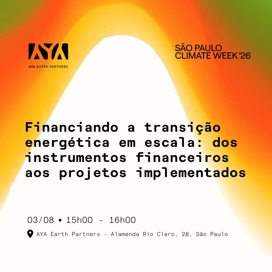 Financiando a transição energética em escala: dos instrumentos financeiros aos projetos implementados