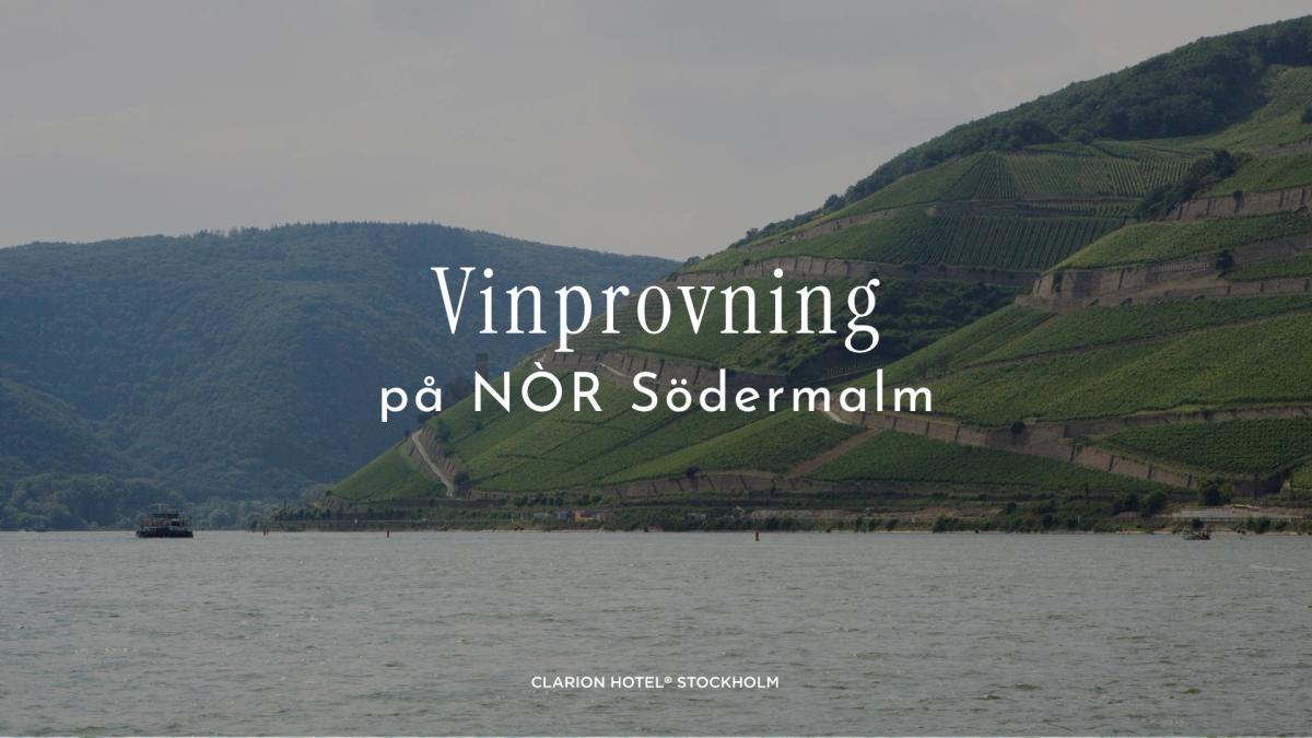 Vinprovning på NÒR