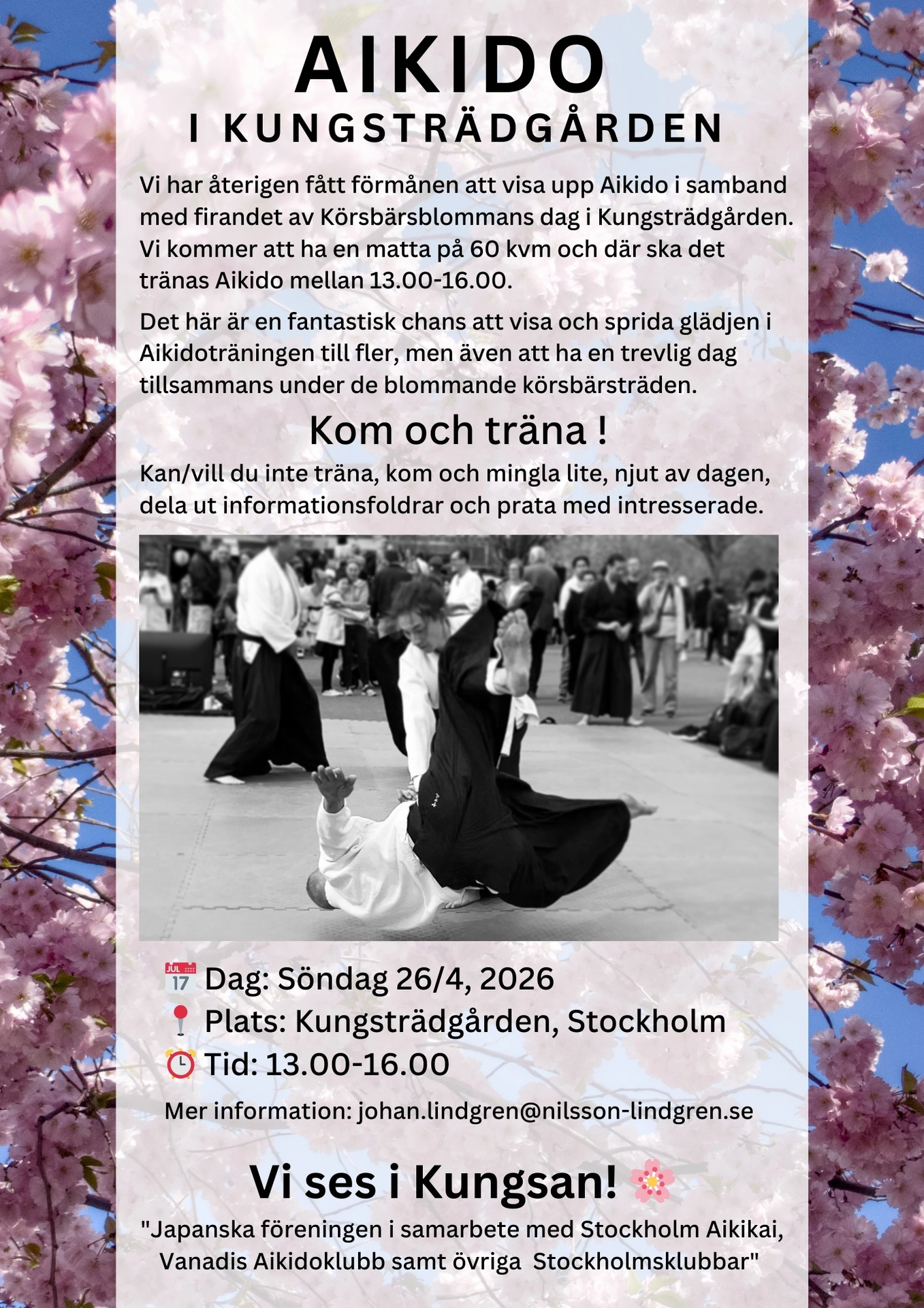Aikido i Kungsträdgården