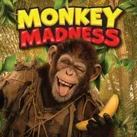 Zip World presents Monkey Madness