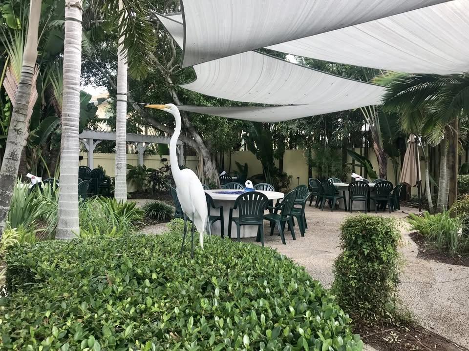 Pop's Sunset Grill - Courtyard
