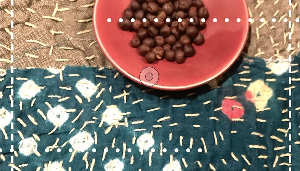 Mini Repair cafe med Fröbibliotek för 17!