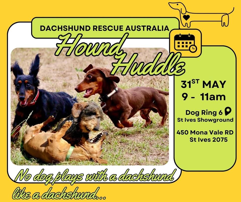 “Hound Huddle”