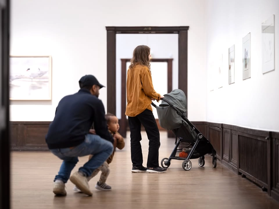 Babyvisning: When We See Us