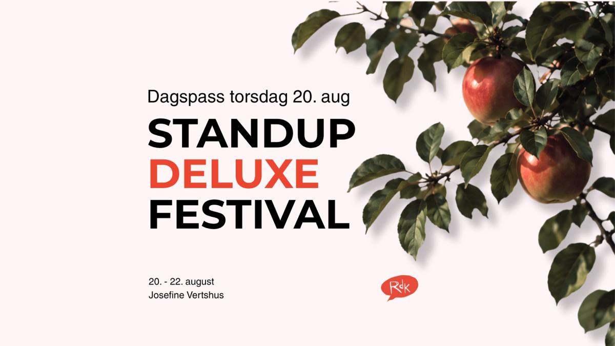 Standup Deluxefestival dagspass torsdag