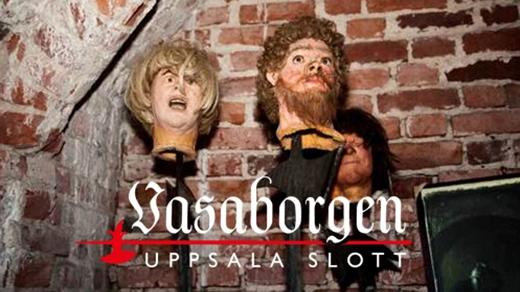Historisk guidning i Vasaborgens museum kl 14