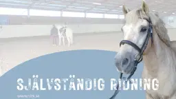 Självständig ridning