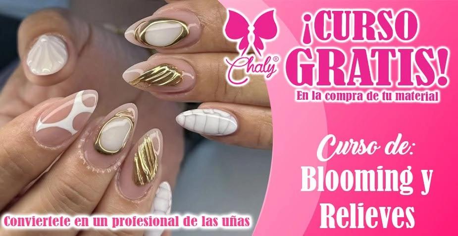 BLOOMING Y RELIEVES NORTE