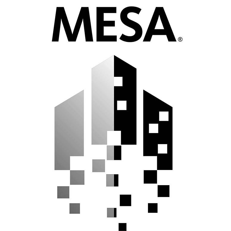 MESA & BAOC Internship Presentations
