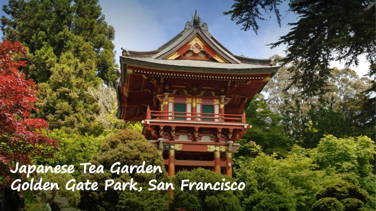 🍵🌸 Japanese Tea Garden Visit & Optional Lunch - San Francisco 🌸🍵