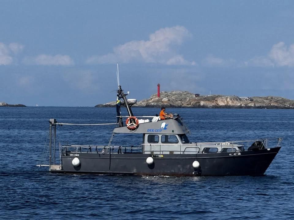Sommardykläger vecka 30, 2026