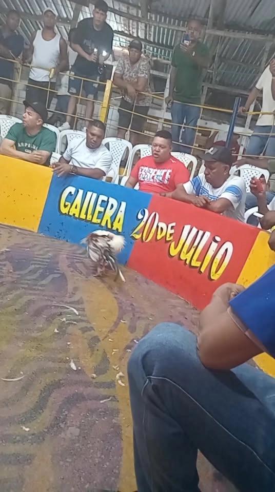 gallera 20 de julio