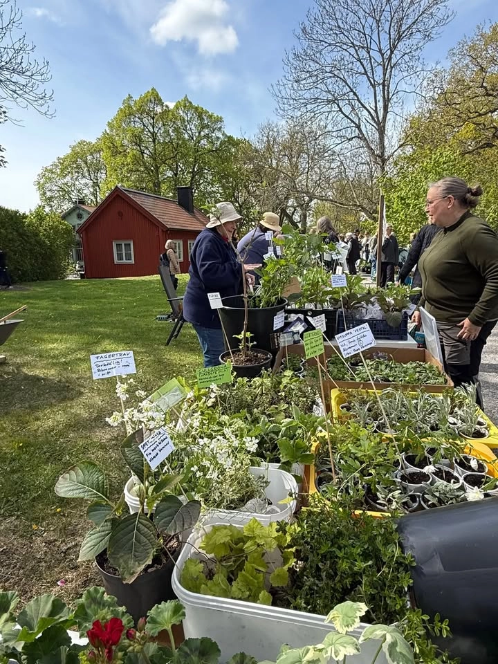 VÄXTLOPPIS HERRÄNGENS GÅRD, ÄLVSJÖ
