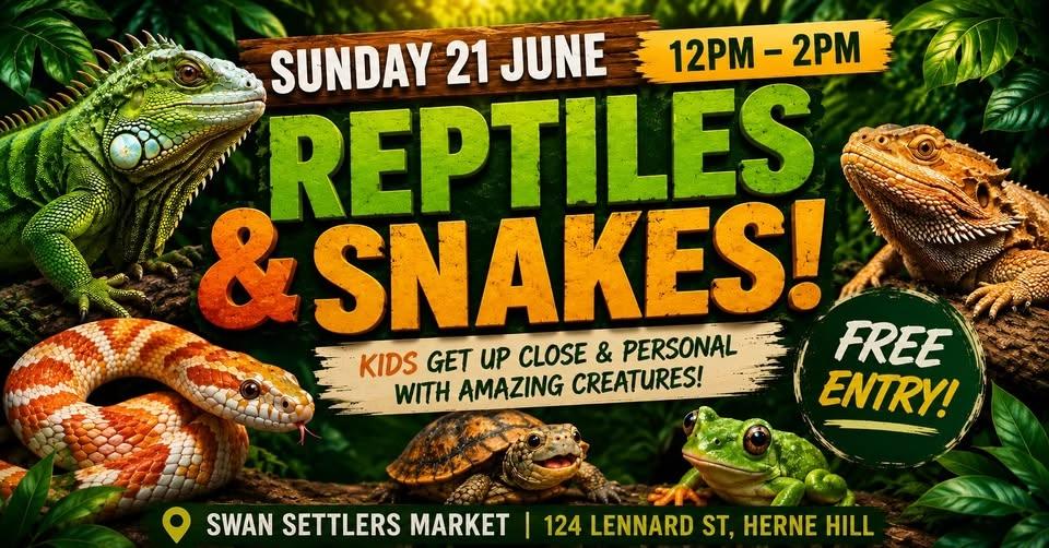 Reptiles & Snakes