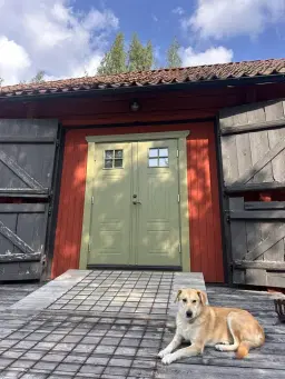 Dagsretreat i Hathayoga