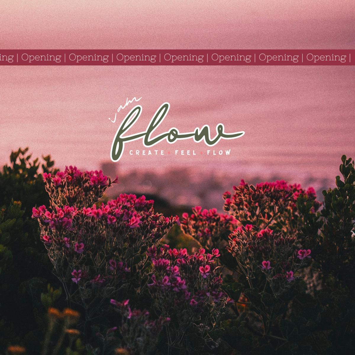 Ouverture I am Flow Paris