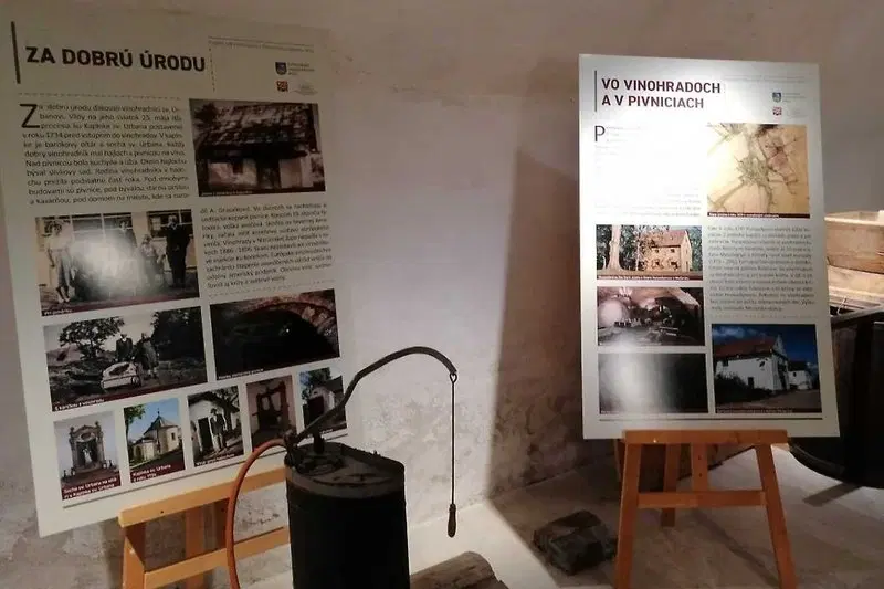 Vinárska a vinohradnícka expozícia