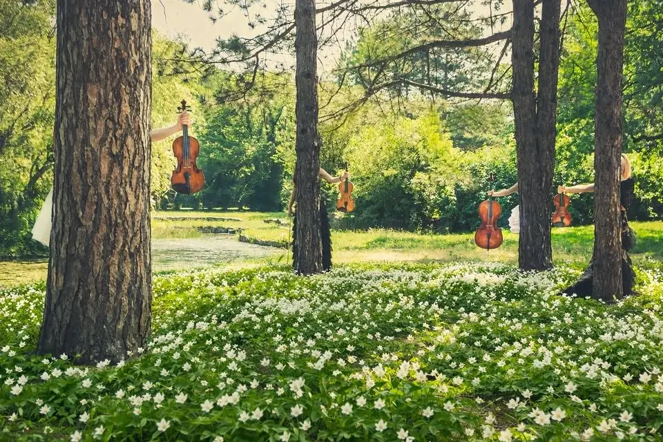 VÅRKLANG 2026 MED NORDISKA MUSIKGYMNASIET