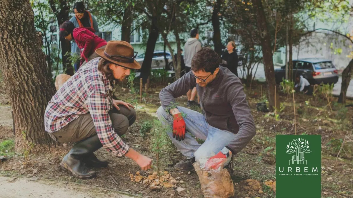 Alvalade: Fortnightly FastForest® Meetup