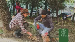 Alvalade: Fortnightly FastForest® Meetup