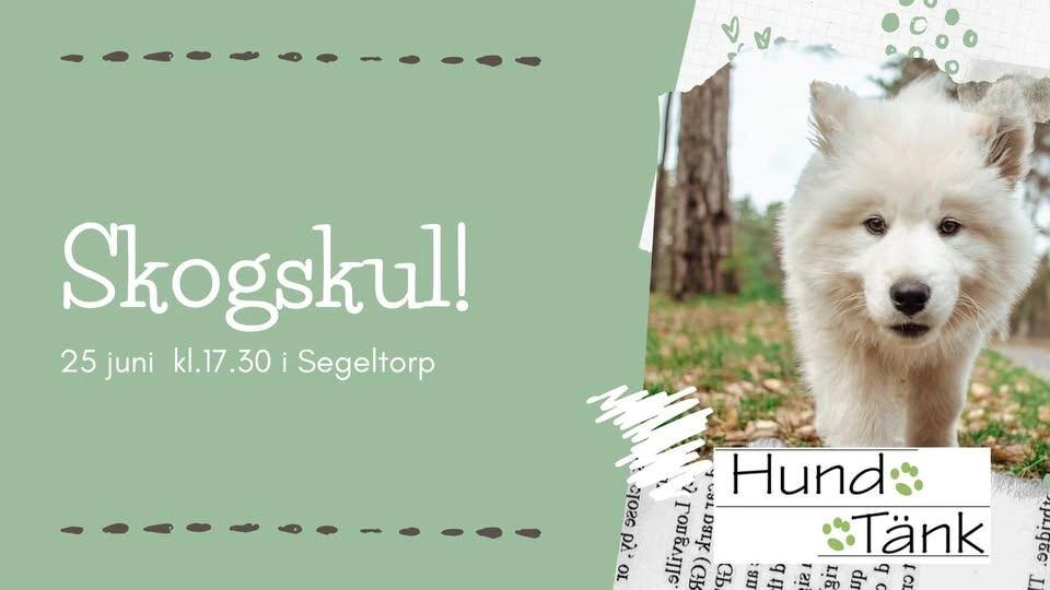 Skogskul!