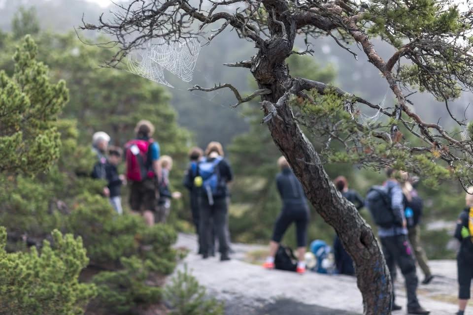 Ledardag på vandring