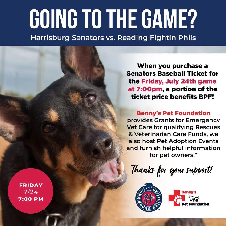 Going to the Game? Senators vs. Reading Fightin Phils