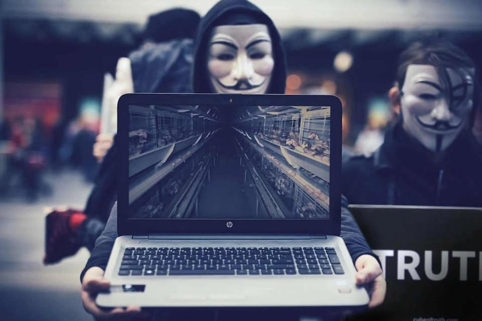 Cube of Truth: Stockholm: June 18th: 16:00