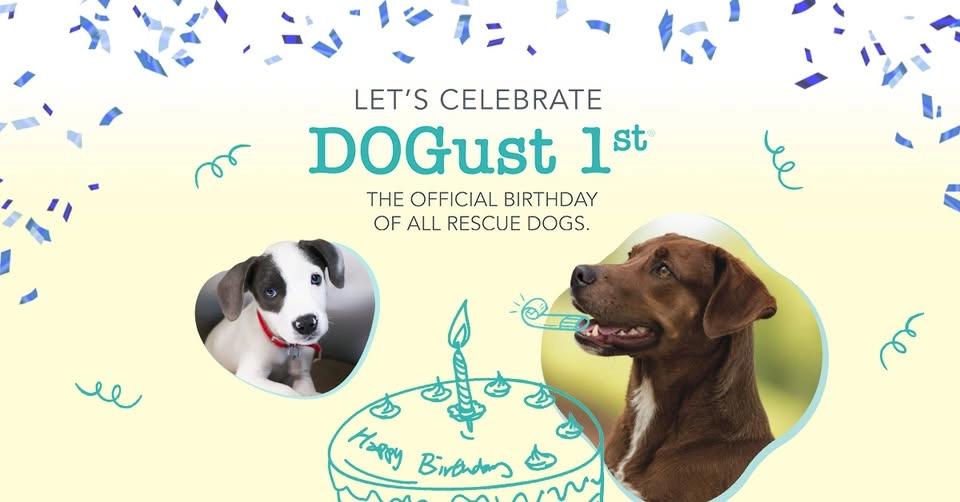 DOGust 1st Adoption Celebration with Quincy Animal Shelter!