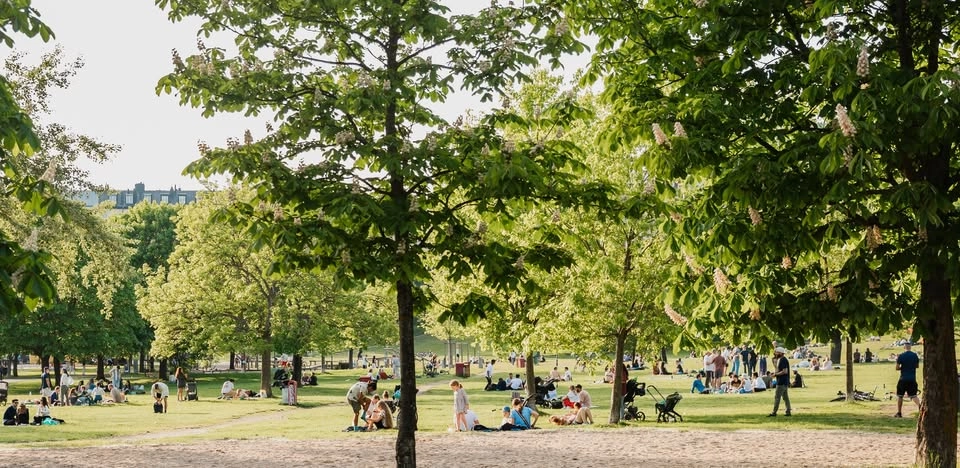 Välkommen på öppet möte om tryggheten på västra Södermalm