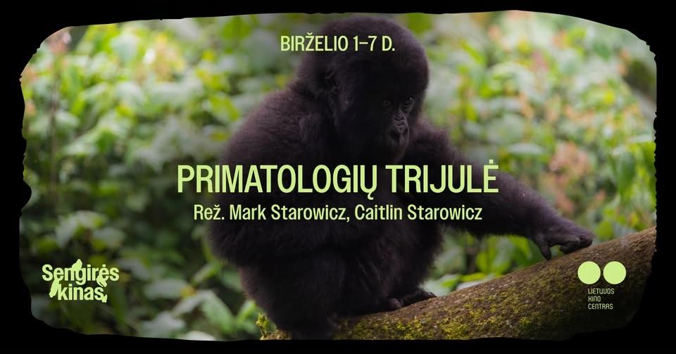SENGIRĖS KINAS Elektrėnų bibliotekoje: PRIMATOLOGIŲ TRIJULĖ. (I serija)