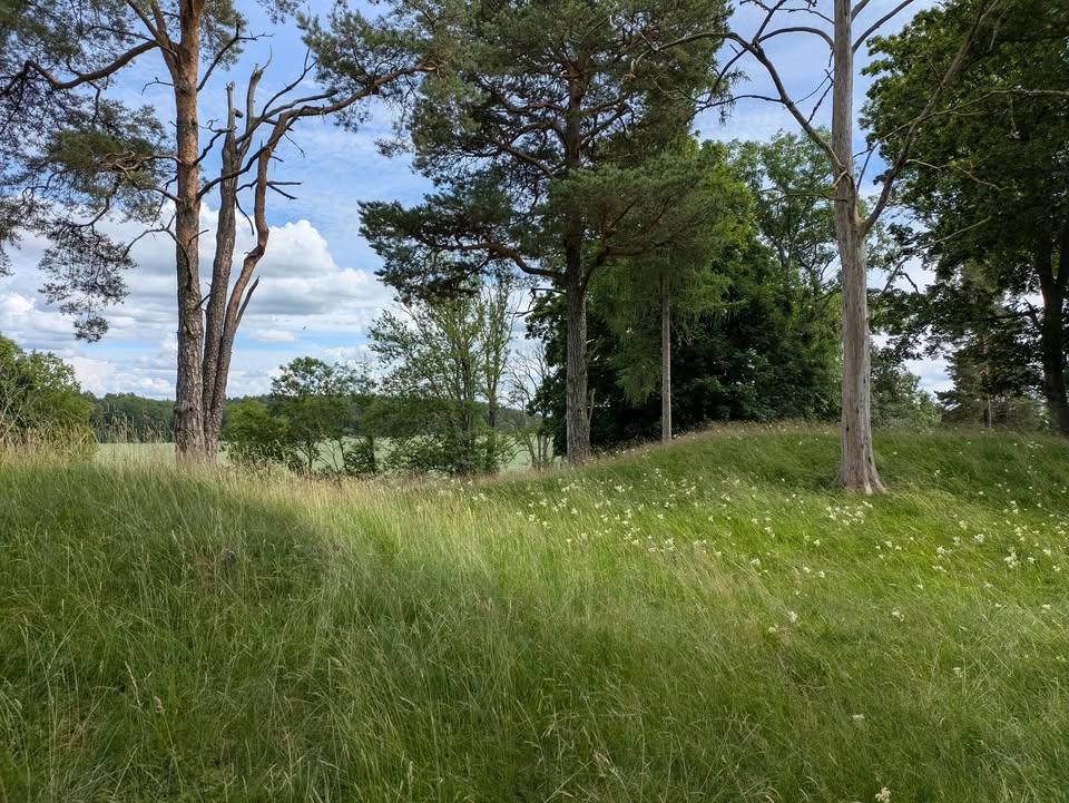 Guidning: Gravfältet i Kårby