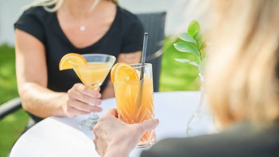 Björkhagas sommarfest