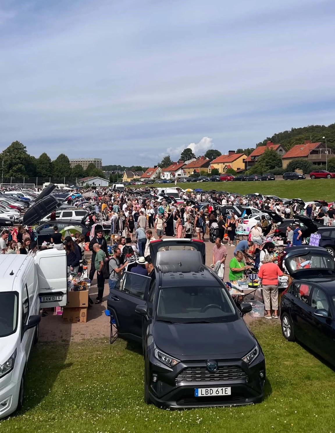 Bakluckeloppis på Ånäsfältet