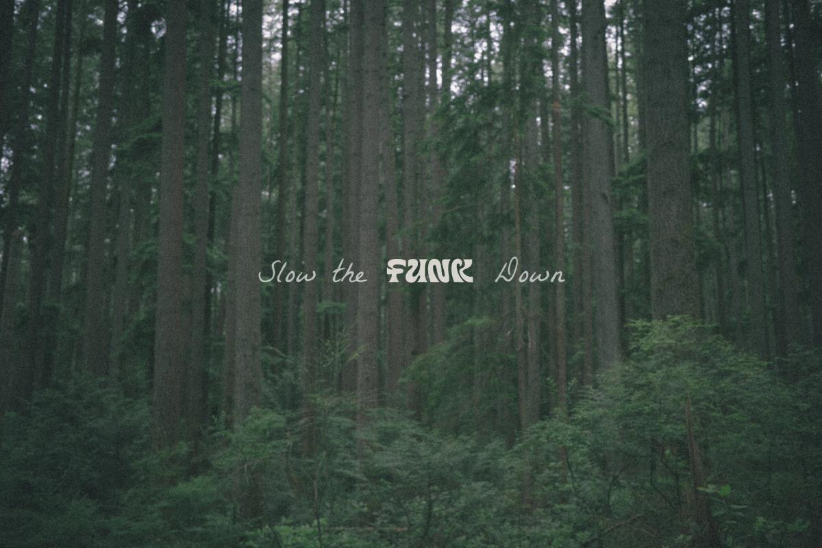 Slow the Funk Down - Funk x Yeoyu