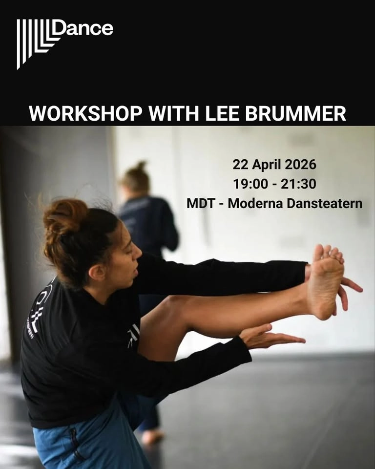 Workshop with Lee Brummer