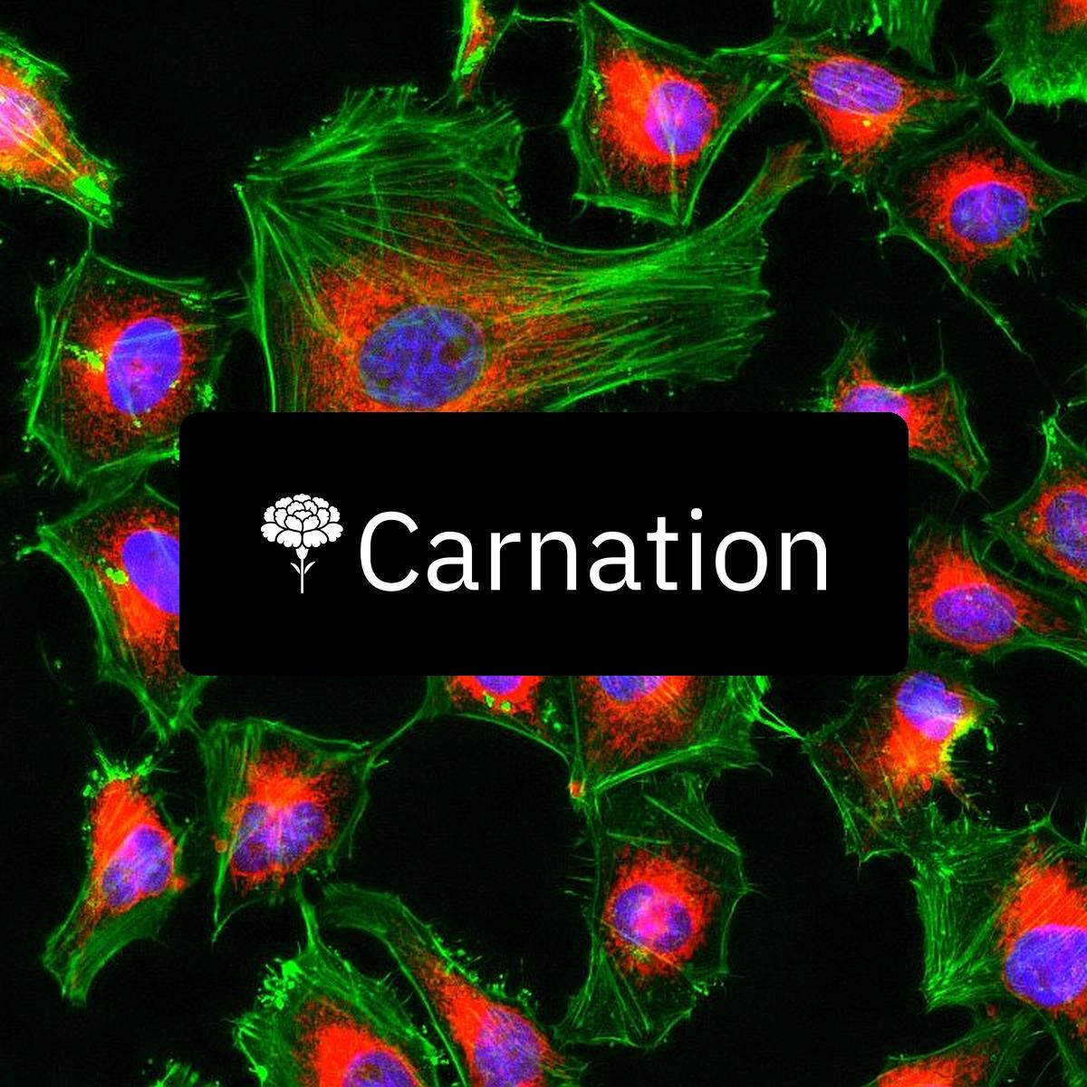 Carnation Lunch & Learn: Microscopy Image Analysis for Early Discovery
