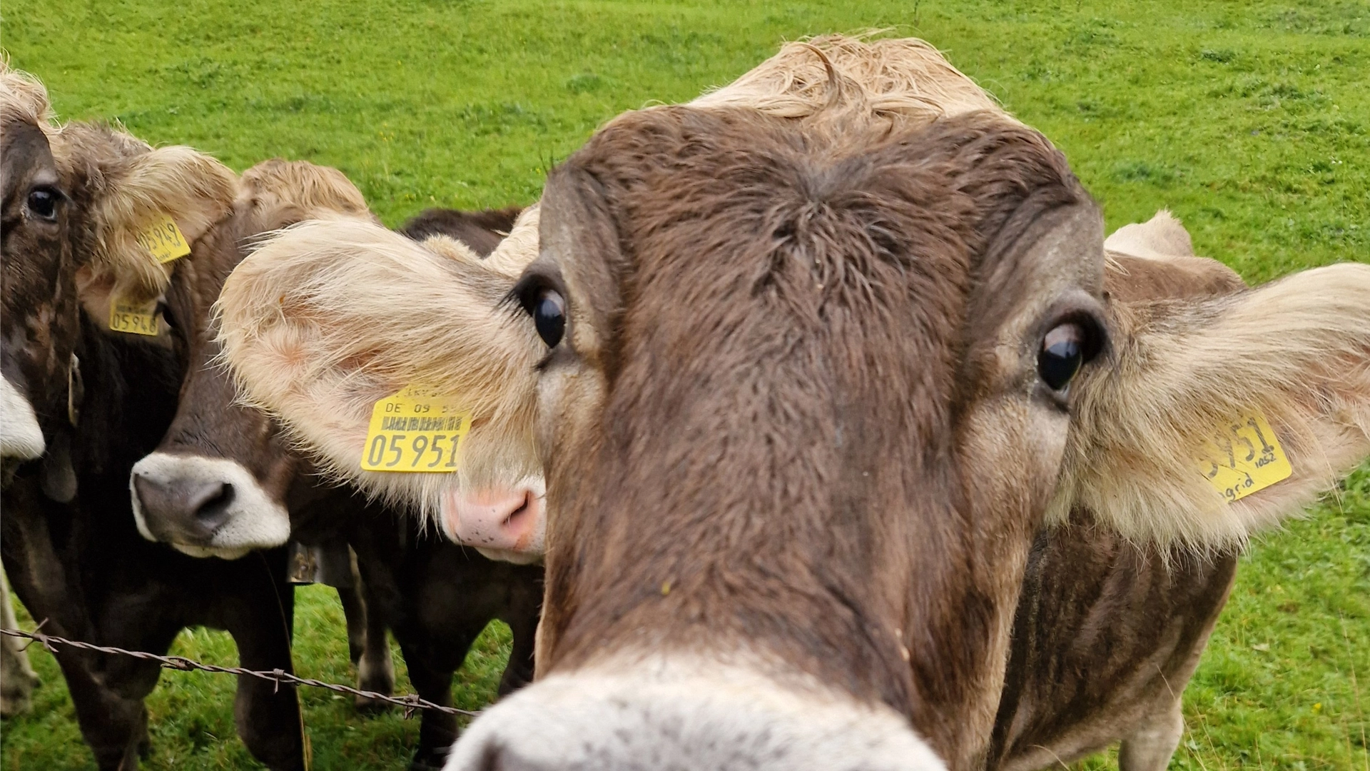 Classic - 80 KM - 3 days, 2 nights - Söderåsen National Park