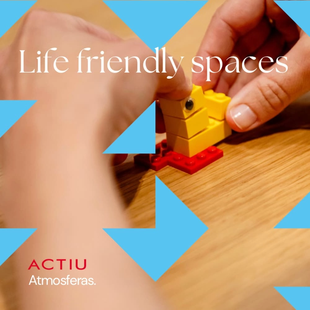 Life Friendly Workplaces | Talleres participativos de diseño y conocimiento de usuario con Lego® Serious Play® (Diversidad e inclusión)